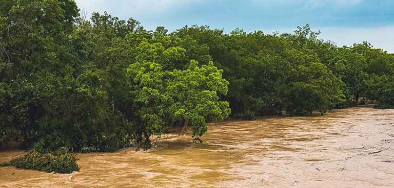 Flooding